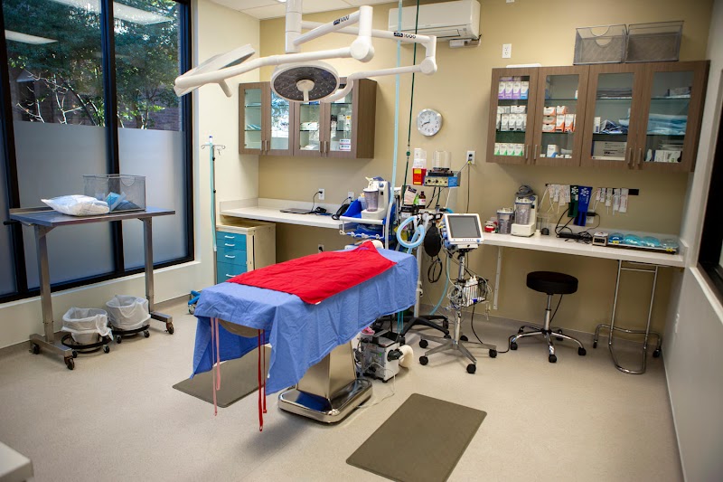 VCA Capital Area Veterinary Specialists