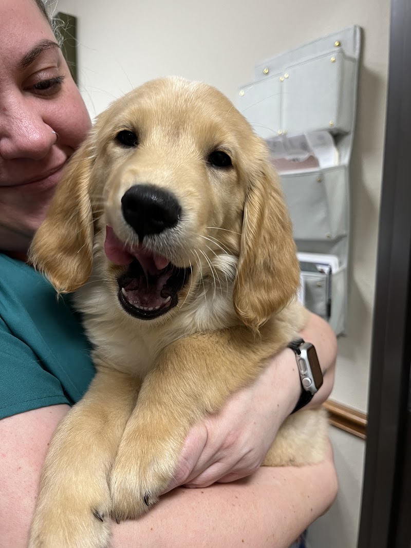 VCA Bent Tree Animal Hospital