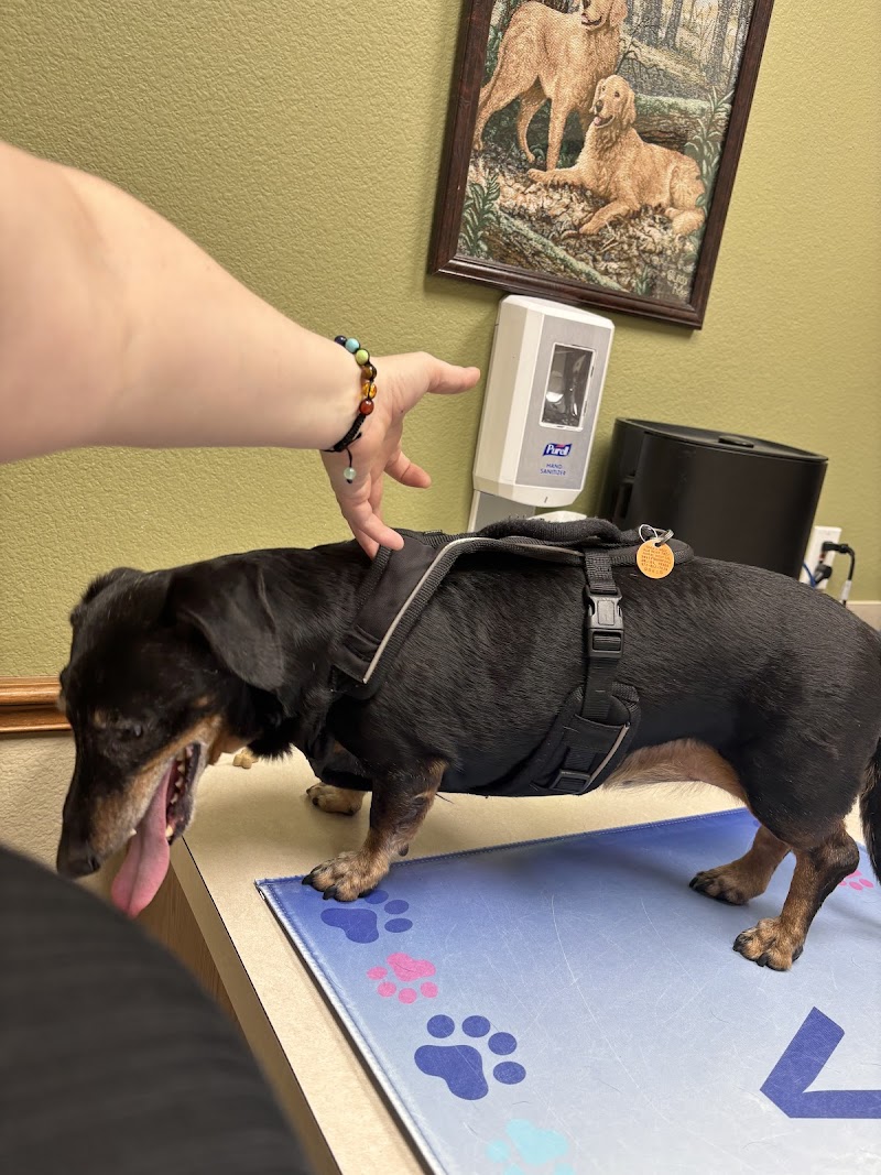 VCA Bent Tree Animal Hospital