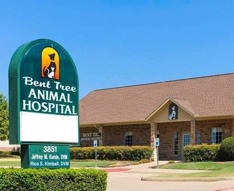 VCA Bent Tree Animal Hospital