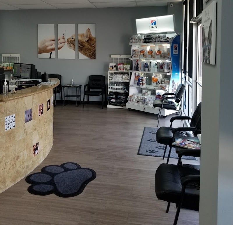 South Belt Animal Hospital