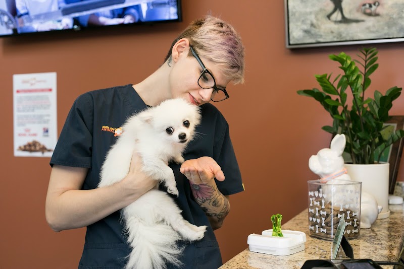 South Loop Animal Hospital