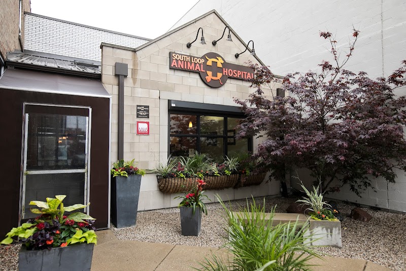 South Loop Animal Hospital - Chicago