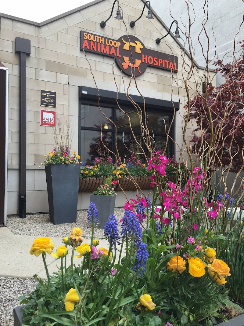 South Loop Animal Hospital