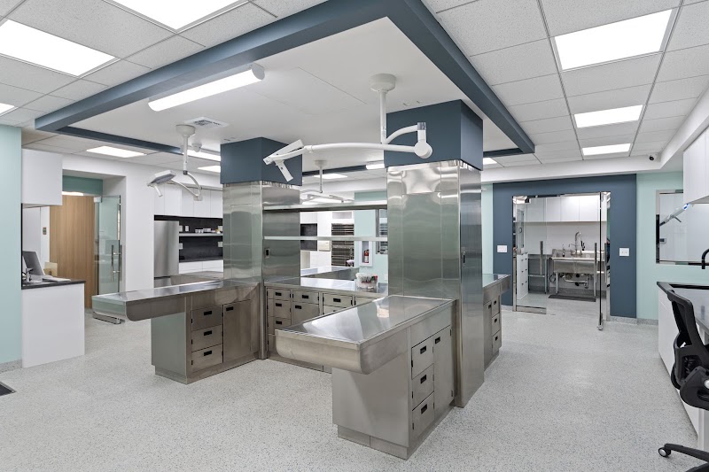 Simon Veterinary Surgical - Lynwood