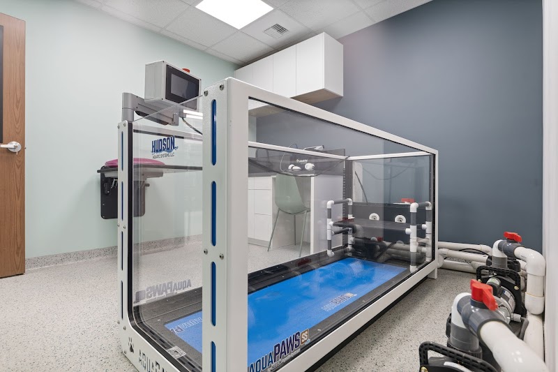 Simon Veterinary Surgical - Lynwood