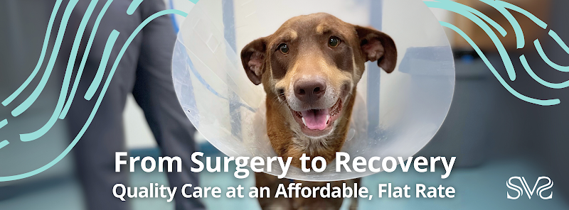 Simon Veterinary Surgical - Lynwood