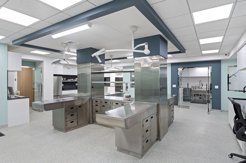 Simon Veterinary Surgical - Lynwood