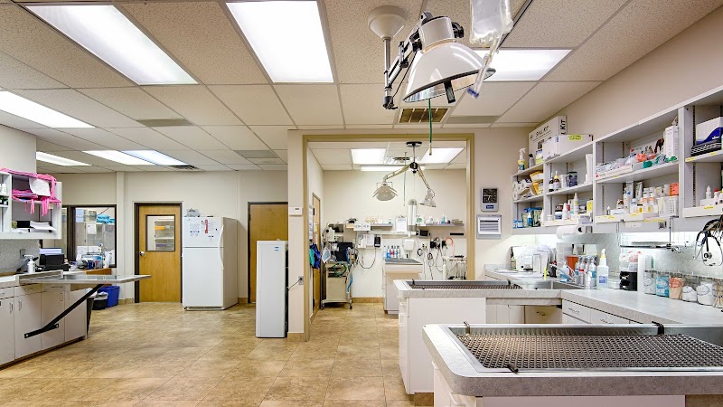 Cornerstone Animal Clinic