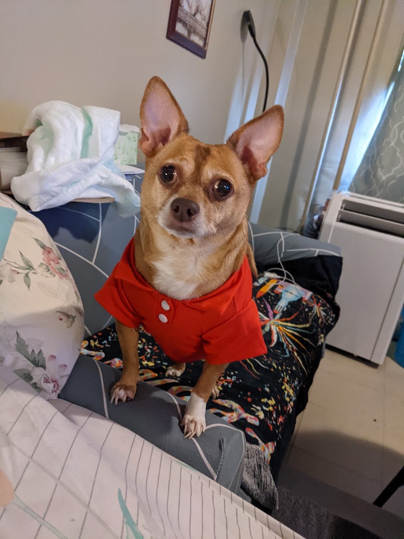 ASPCA Animal Hospital - By Appointment Only