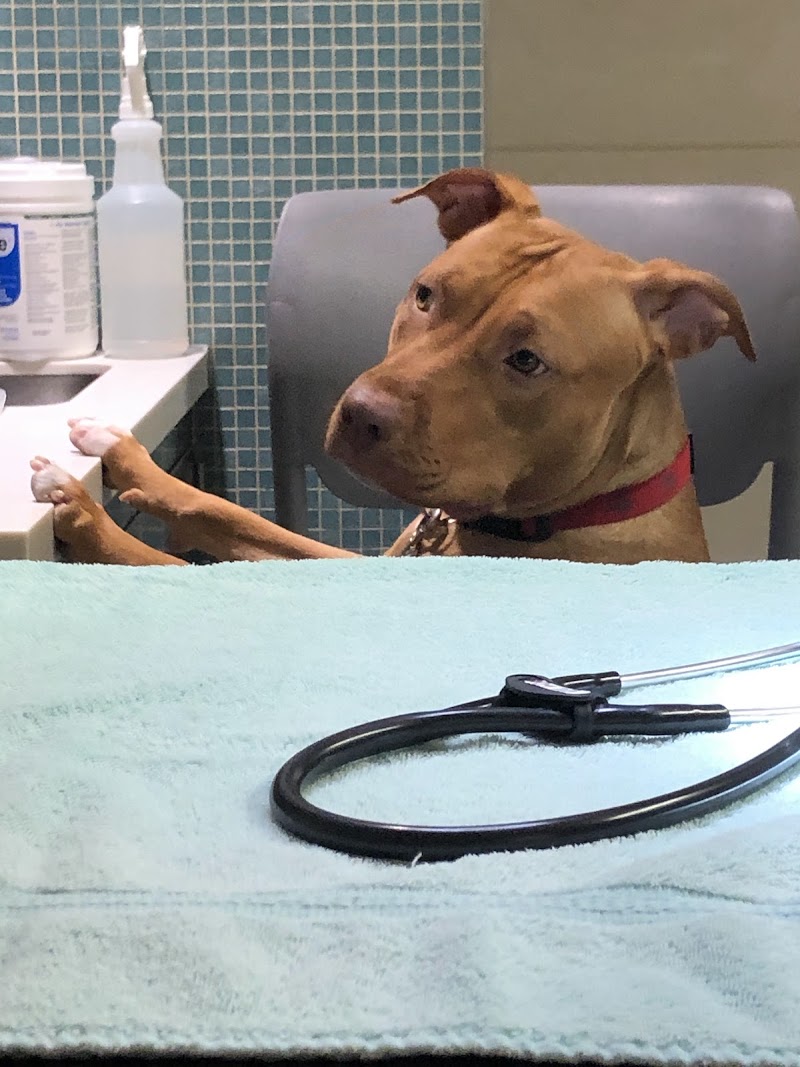 ASPCA Animal Hospital - By Appointment Only