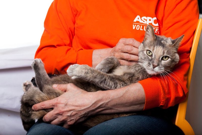 ASPCA Animal Hospital - By Appointment Only