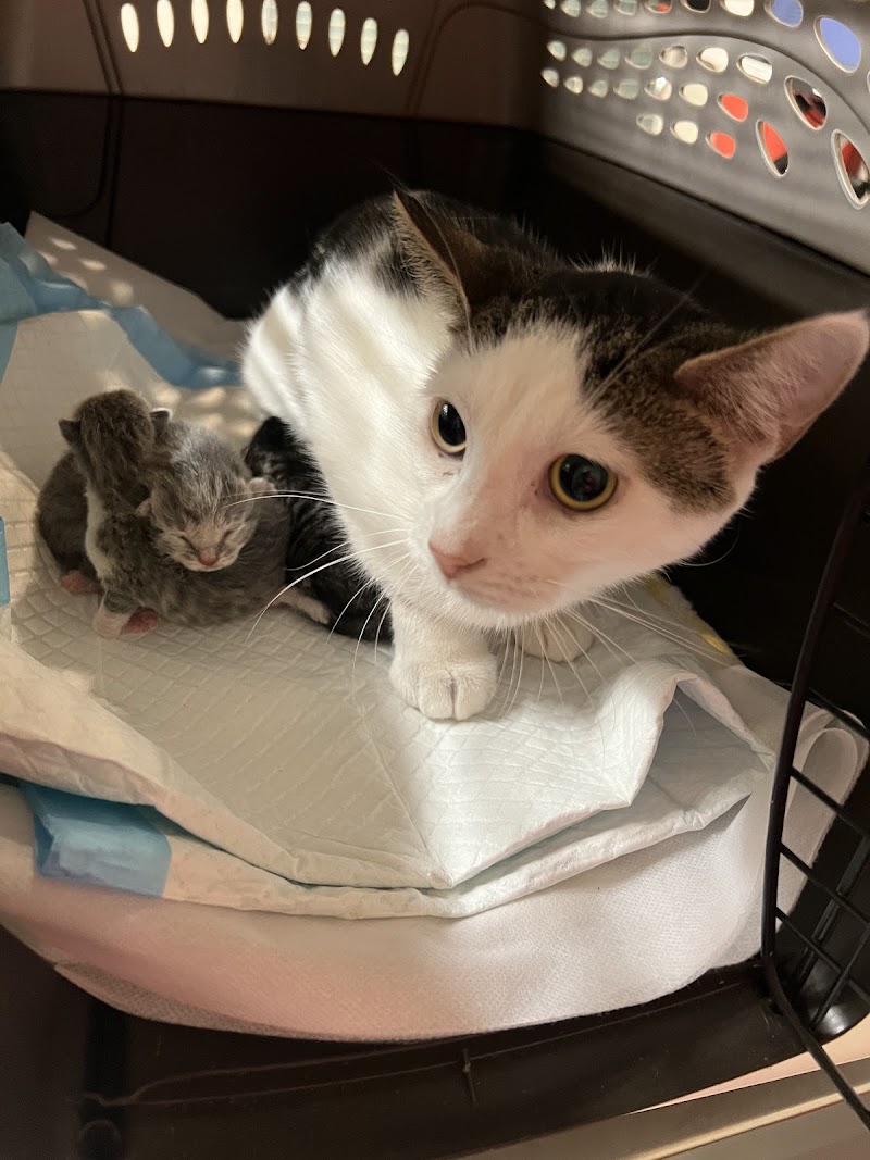 ASPCA Animal Hospital - By Appointment Only