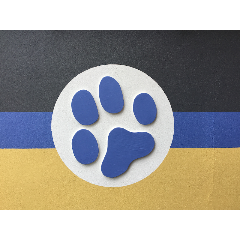 Eastlake Veterinary Hospital: Carl Anderson, DVM