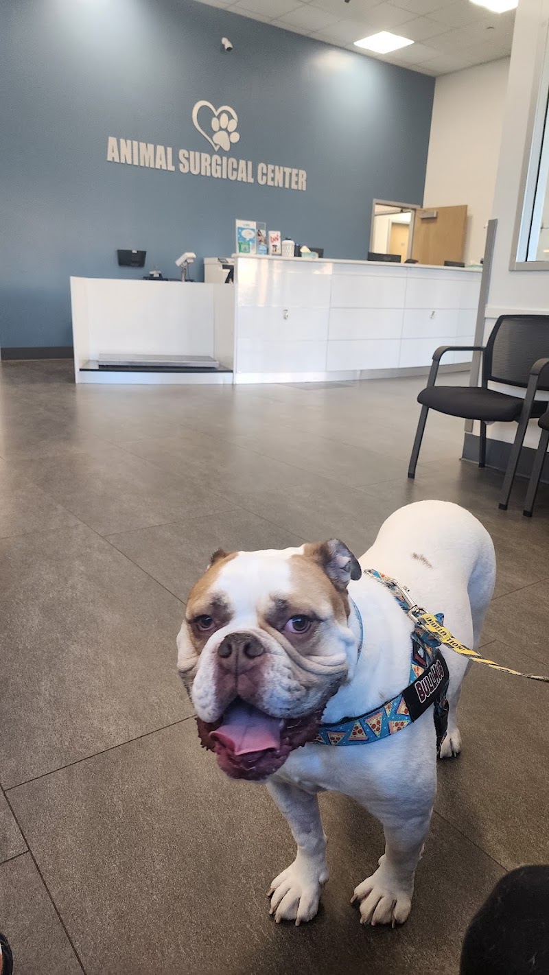 Animal Surgical Center