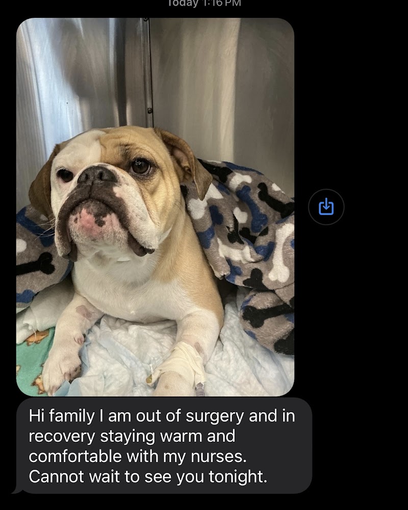 Animal Surgical Center