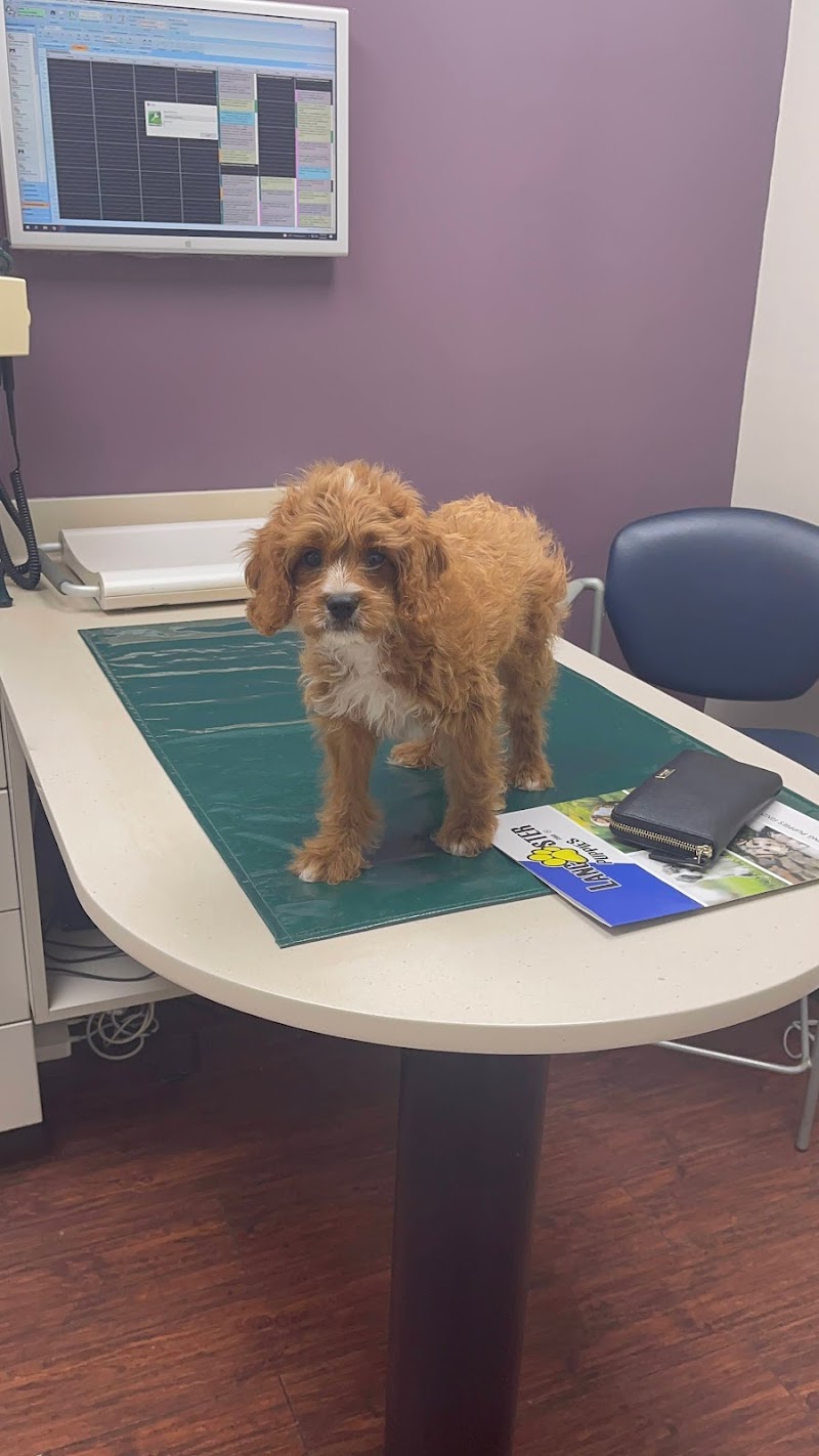 Westside Veterinary Center
