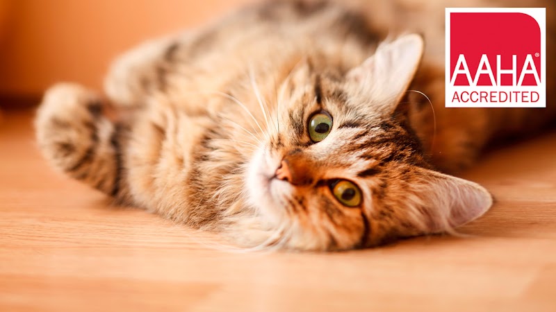Westside Veterinary Center