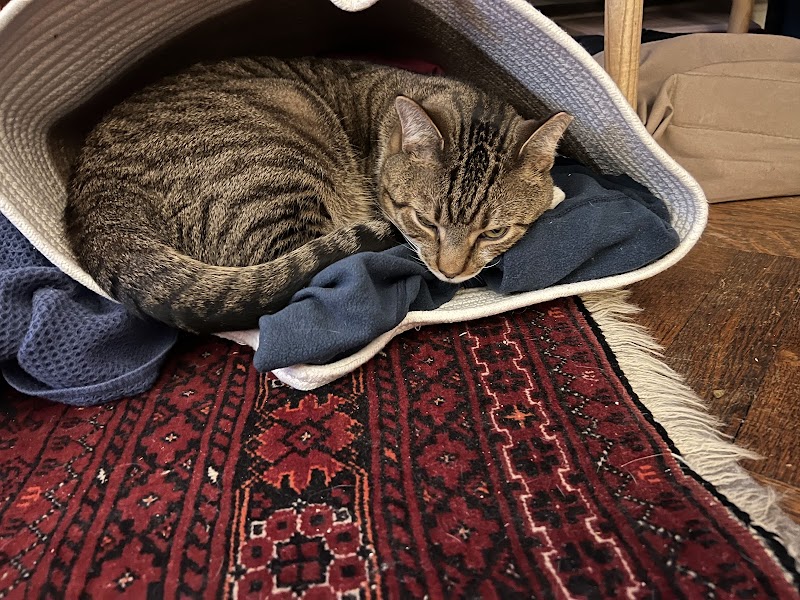 Westside Veterinary Center