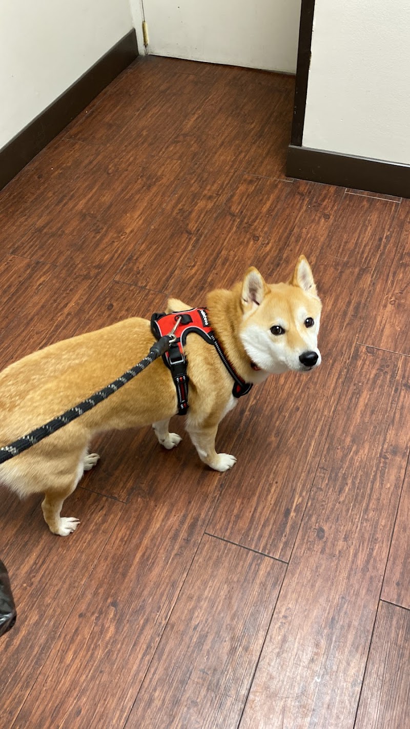 Westside Veterinary Center