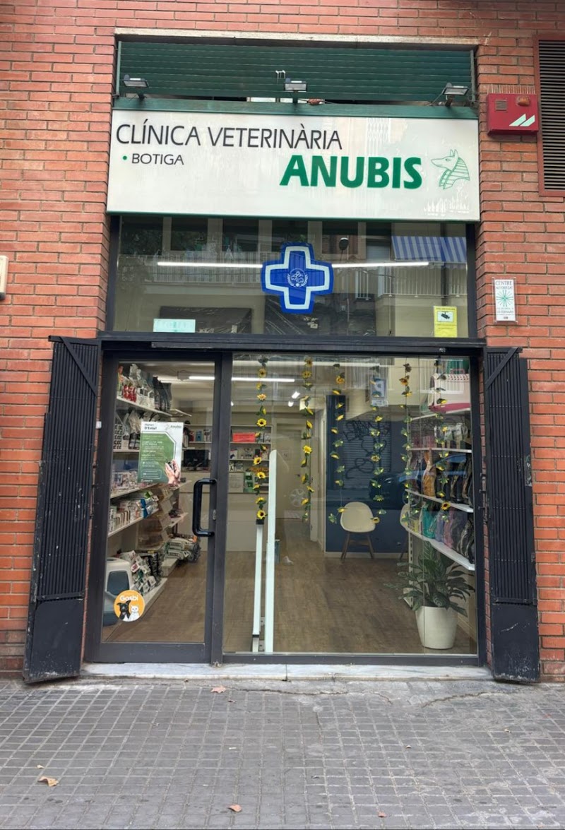 Anubis Clínica Veterinària