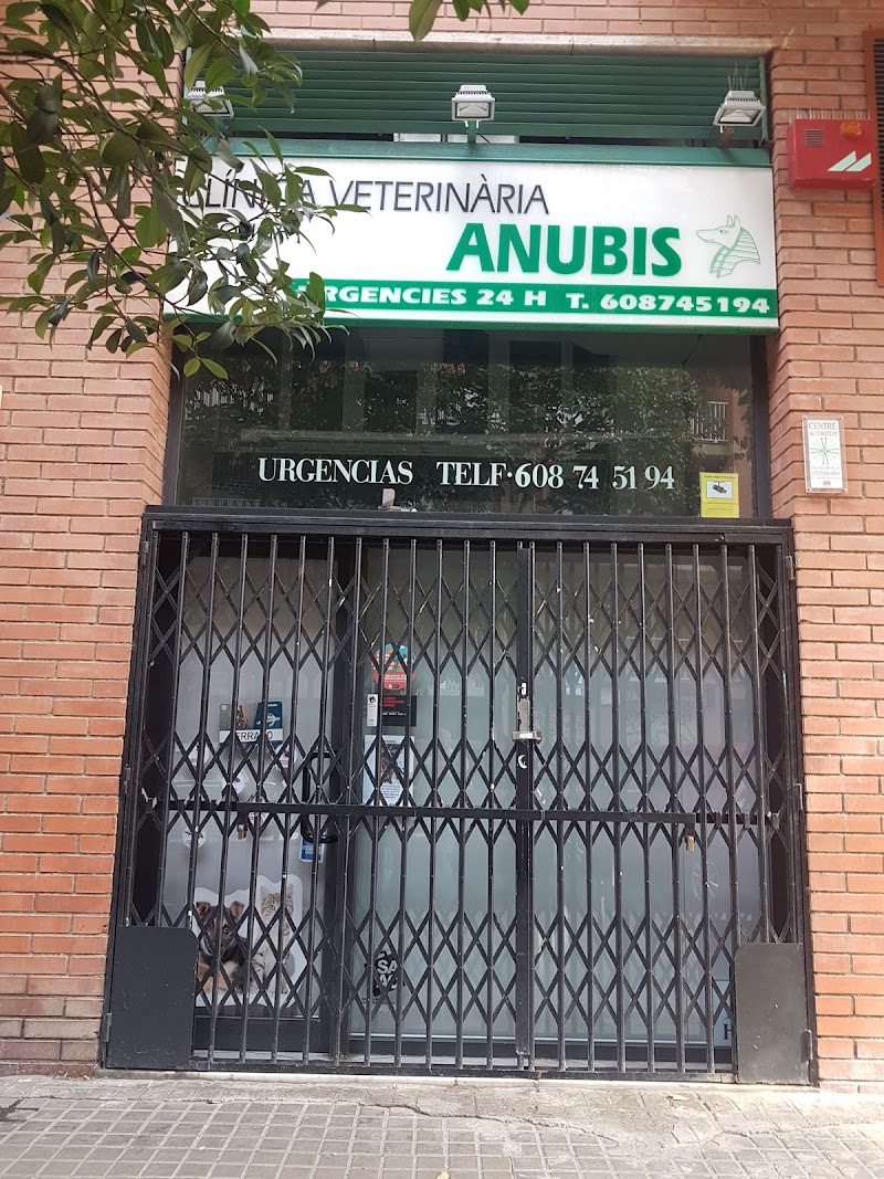Anubis Clínica Veterinària