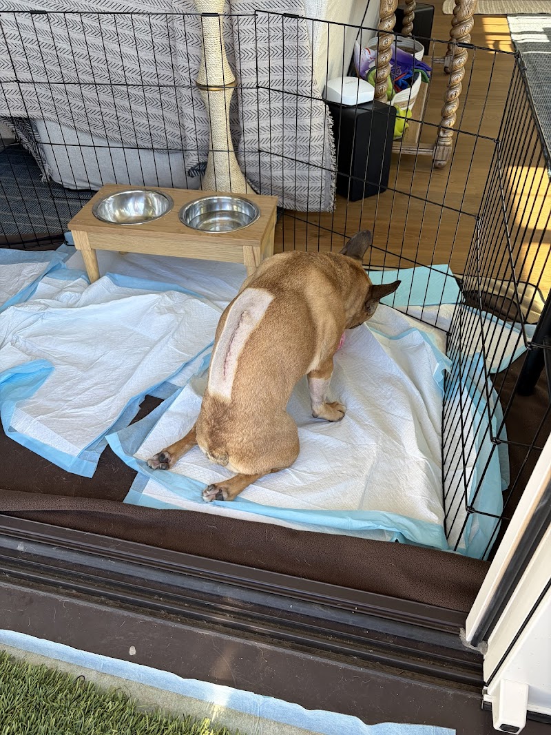 Animal Acupuncture and Rehabilitation Center