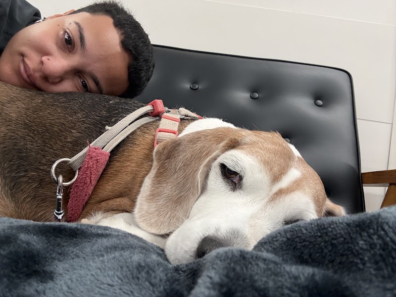 24 Hour Emergency Vet