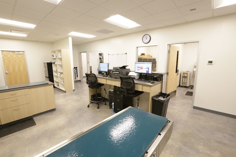 Thrive Pet Healthcare - Manchaca