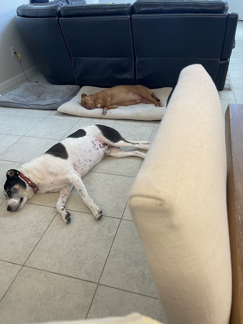 Thrive Pet Healthcare - Manchaca