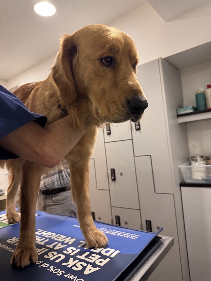 Clinton Veterinary Center