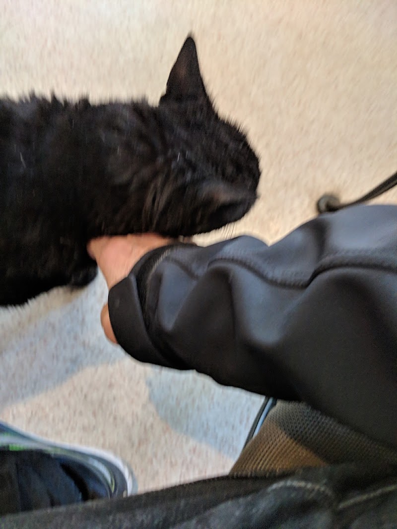Clinton Veterinary Center
