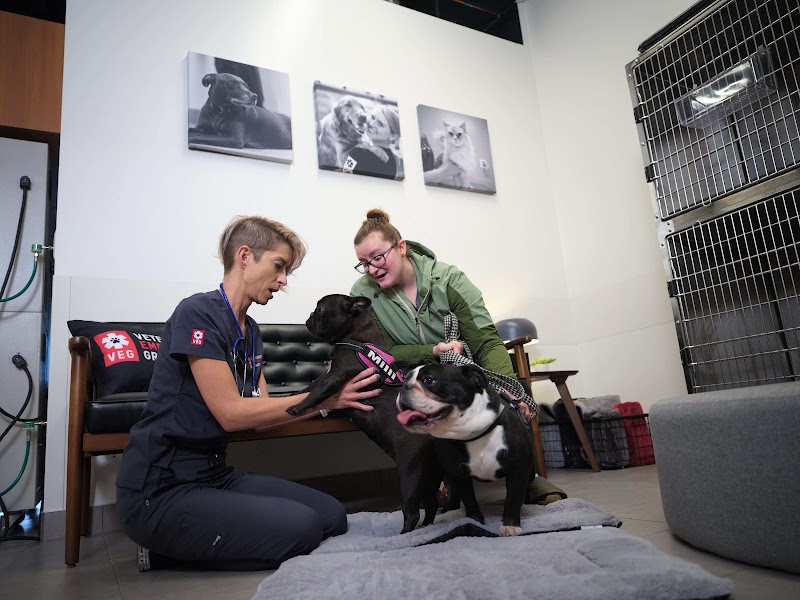 Veterinary Emergency Group