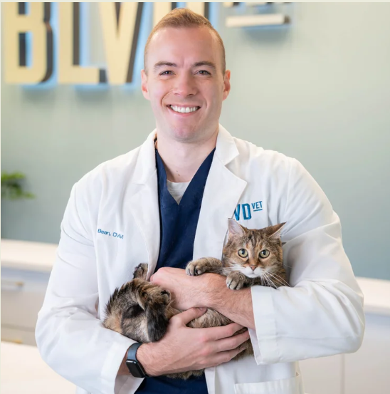 BLVD Vet Lakeview Lincoln Park - Chicago