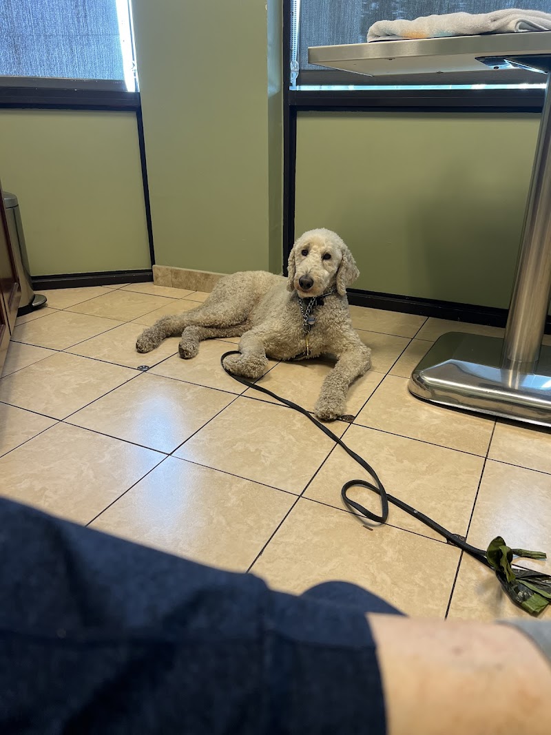 Shane Veterinary Medical Center