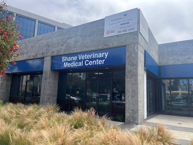 Shane Veterinary Medical Center