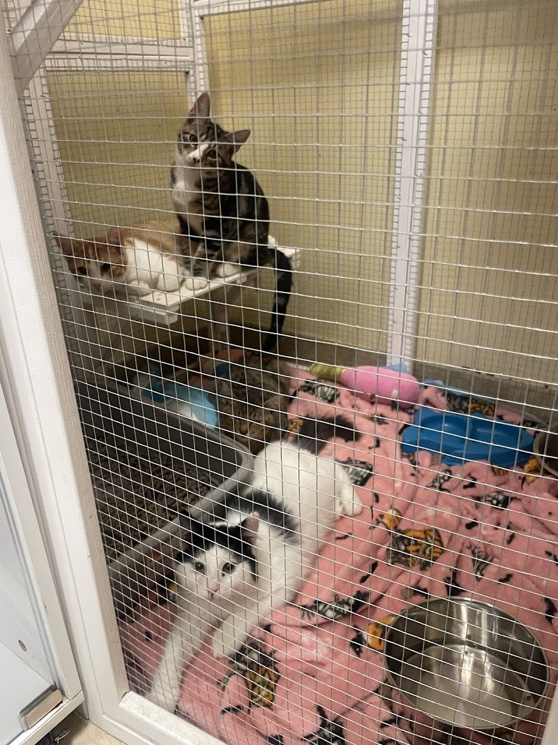Shane Veterinary Medical Center
