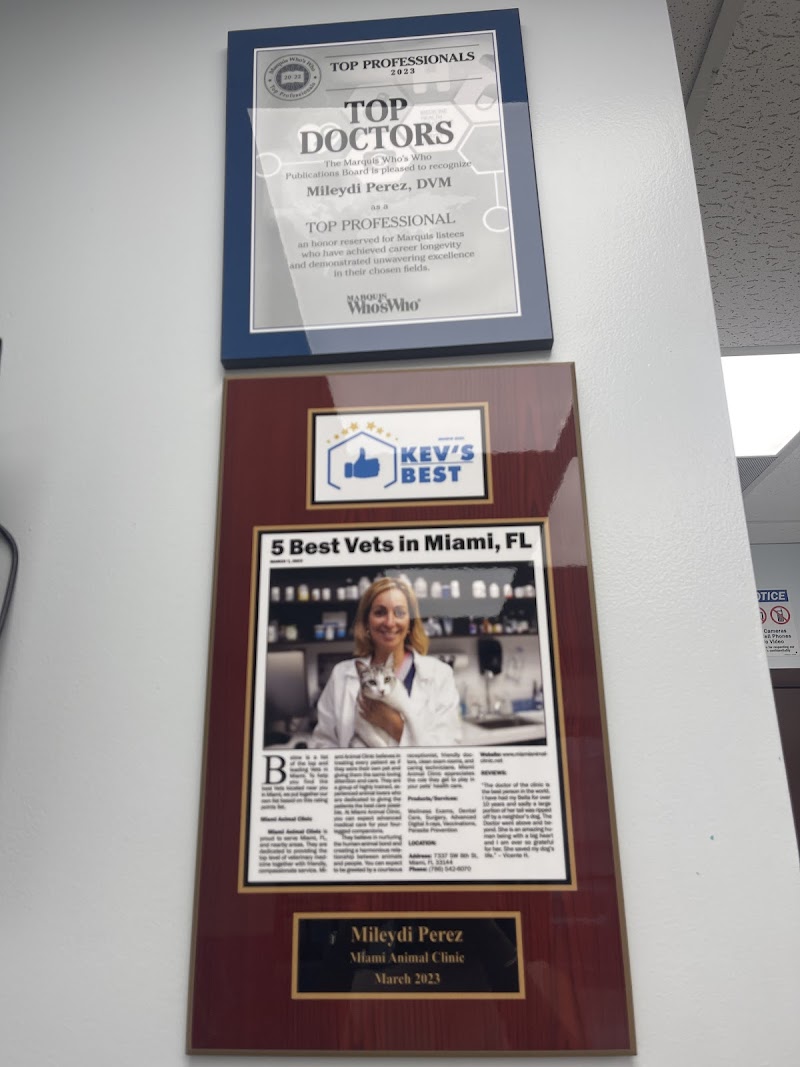 Miami Animal Clinic