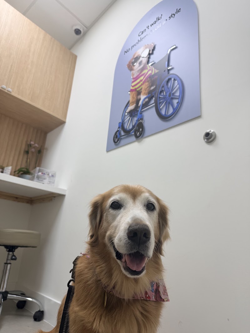 Miami Animal Clinic