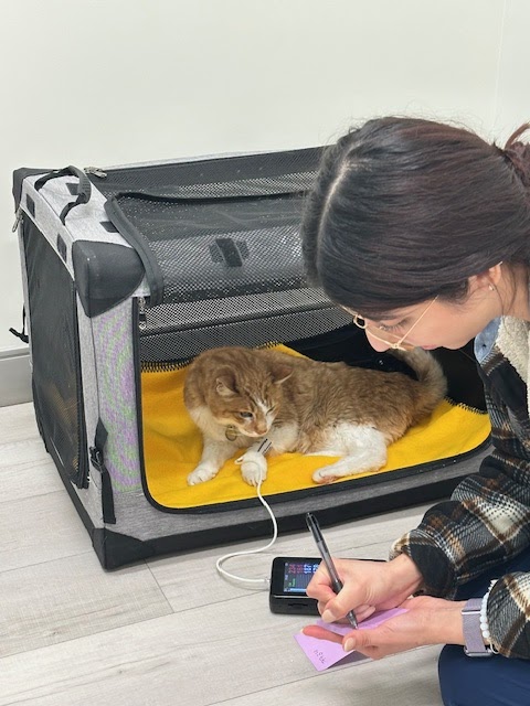 Wellshire Animal Hospital