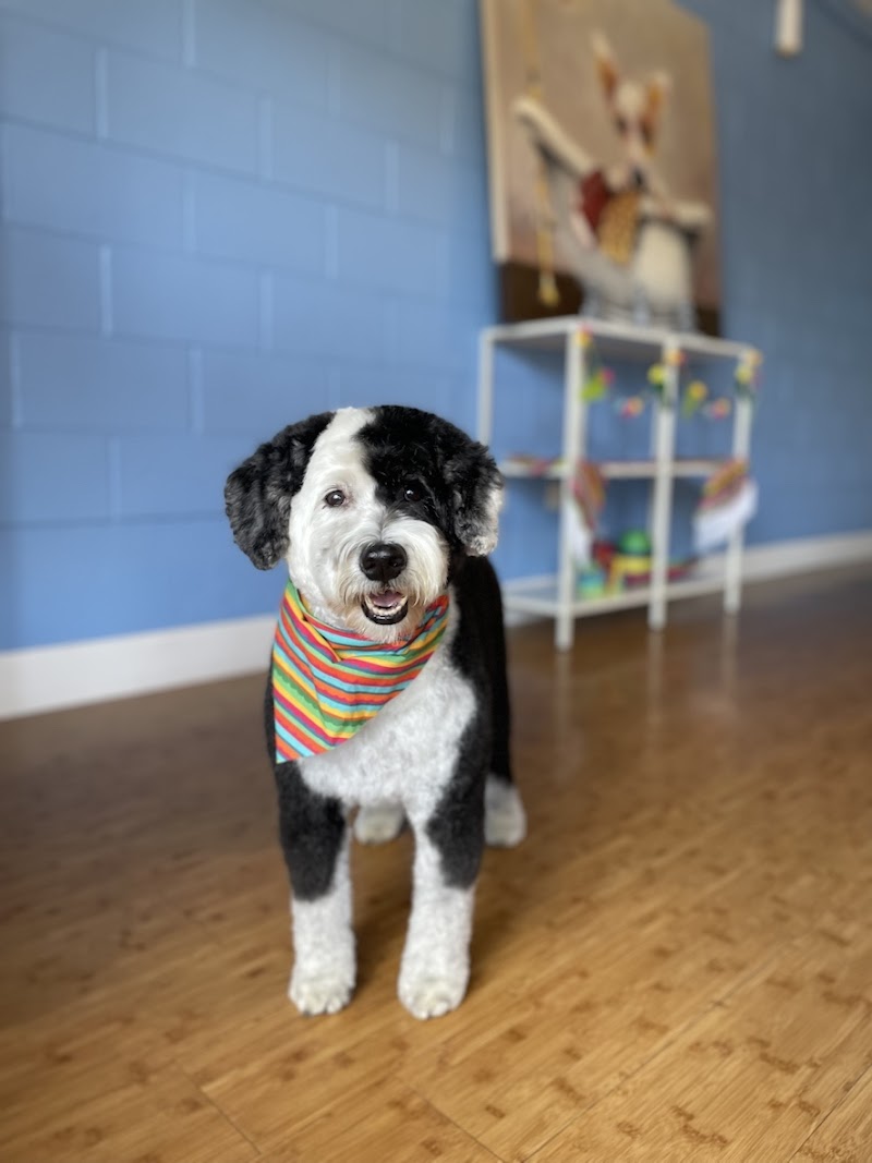 Wellshire Animal Hospital