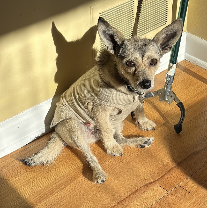 Wellshire Animal Hospital