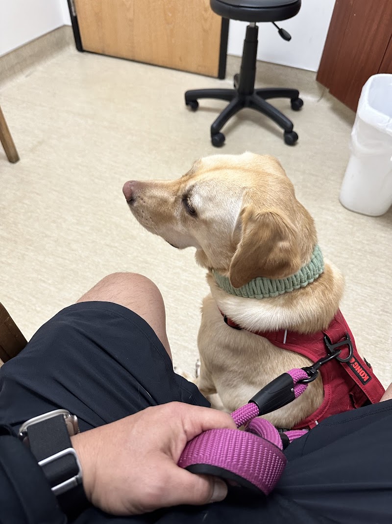 Torrey Pines Animal Hospital