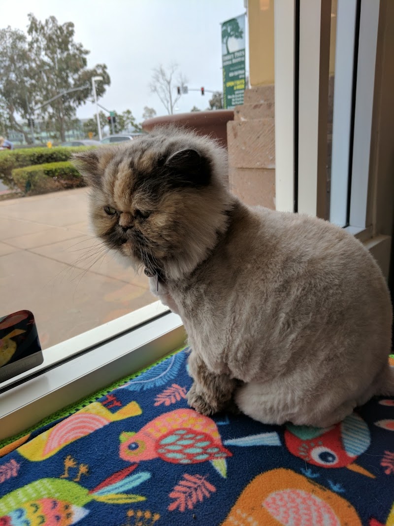 Torrey Pines Animal Hospital