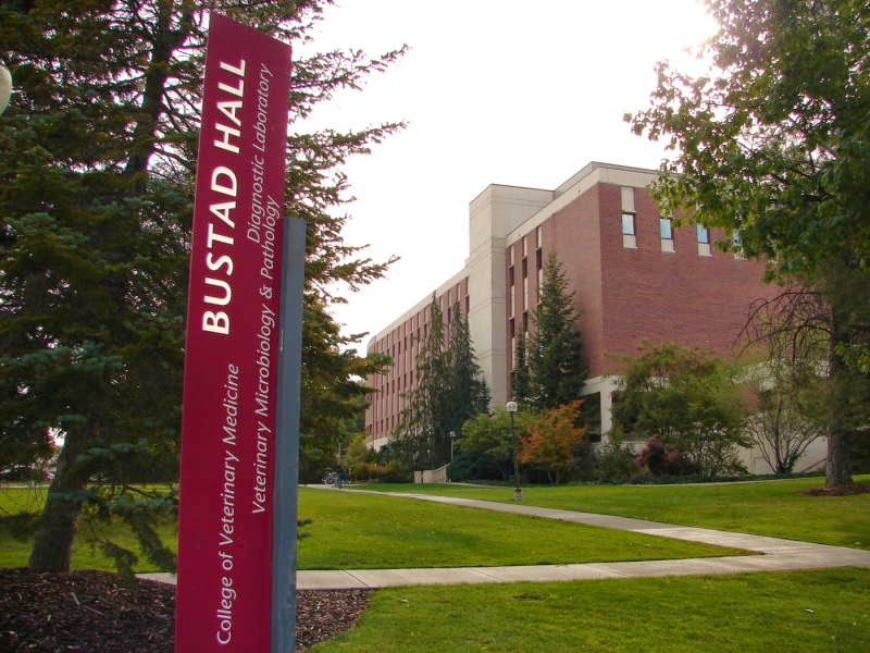 Washington State University College of Veterinary Medicine