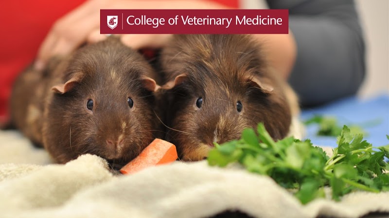 Washington State University College of Veterinary Medicine