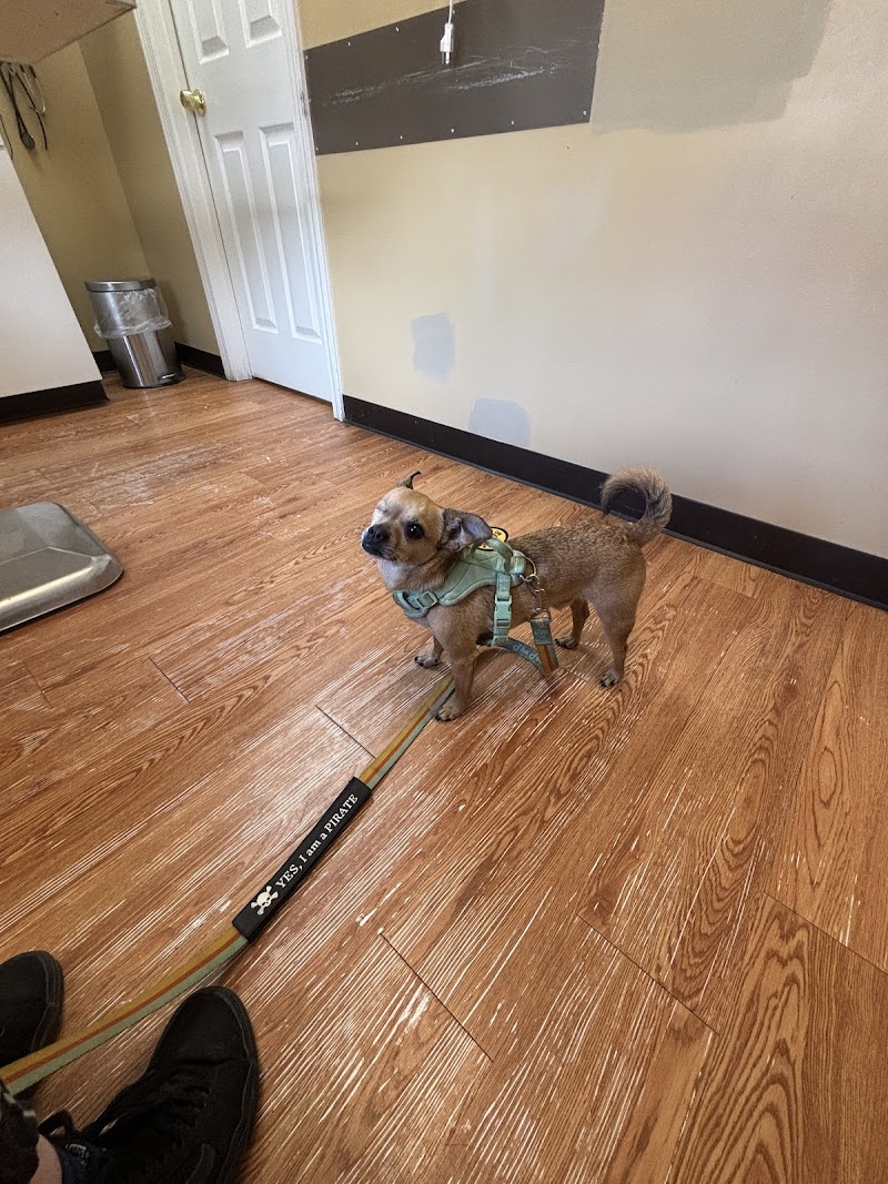 Windy Hill Veterinary Hospital