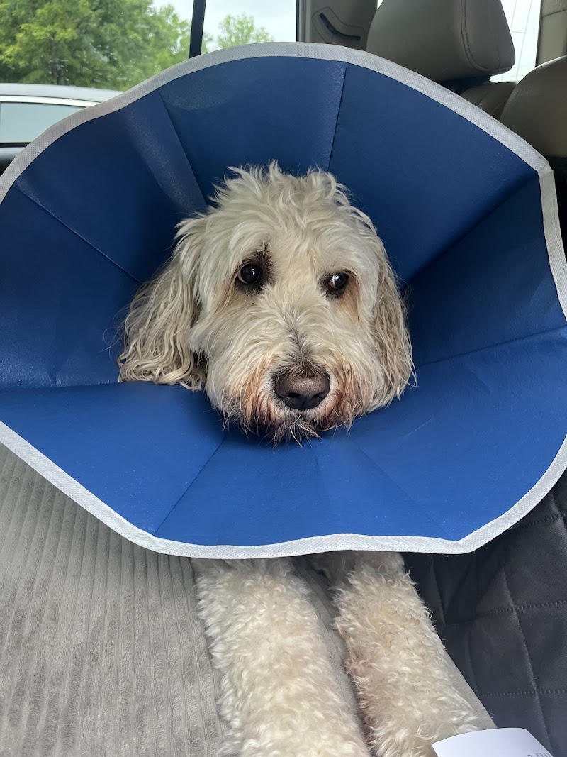 Windy Hill Veterinary Hospital