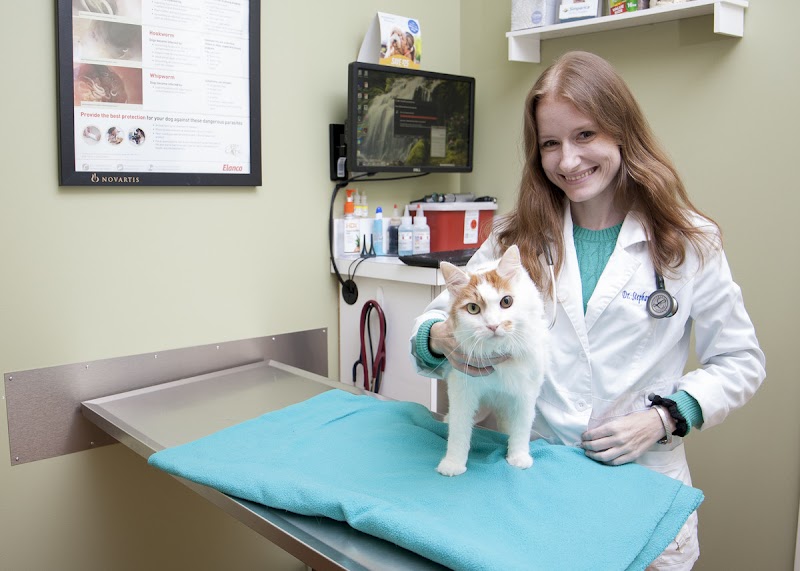 Windy Hill Veterinary Hospital
