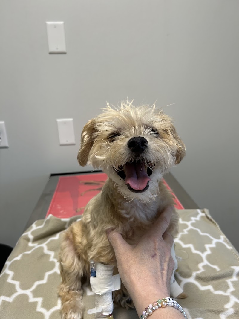 Bulger Veterinary Hospital